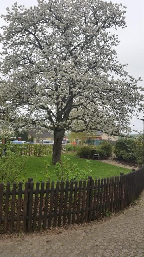 Ferienwohnung Vergissmeinnicht Osburg ภายนอก รูปภาพ